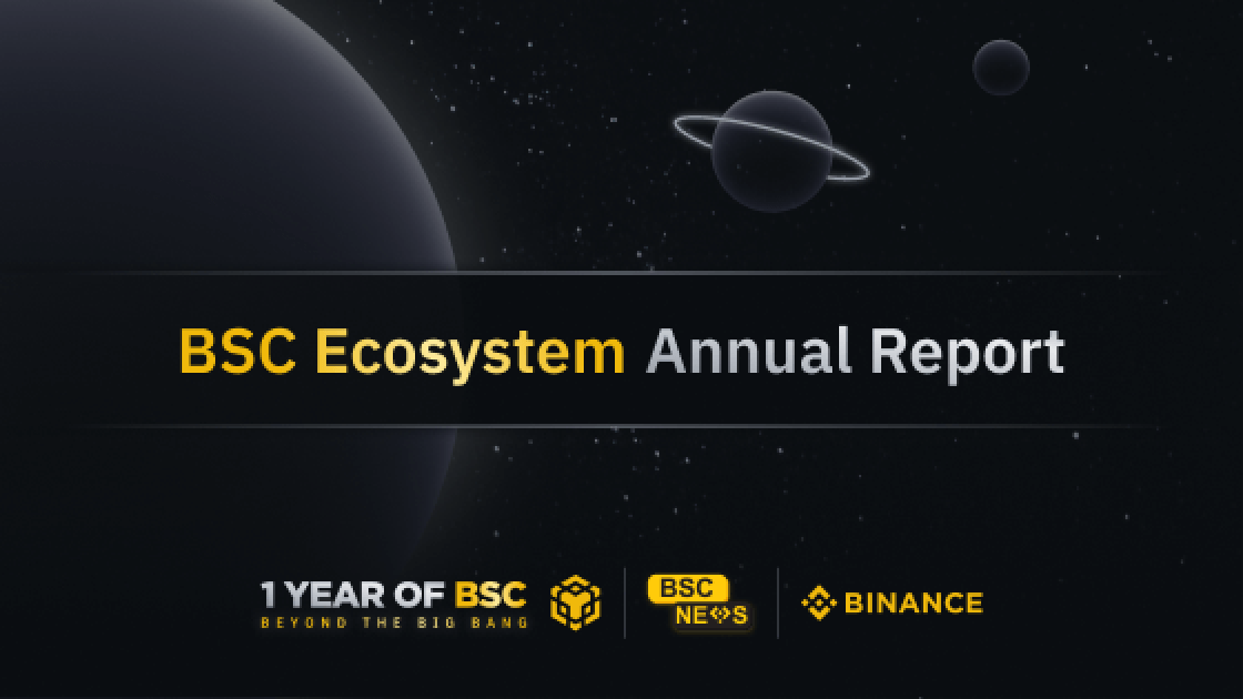 BSC Ecosystem Annual Report