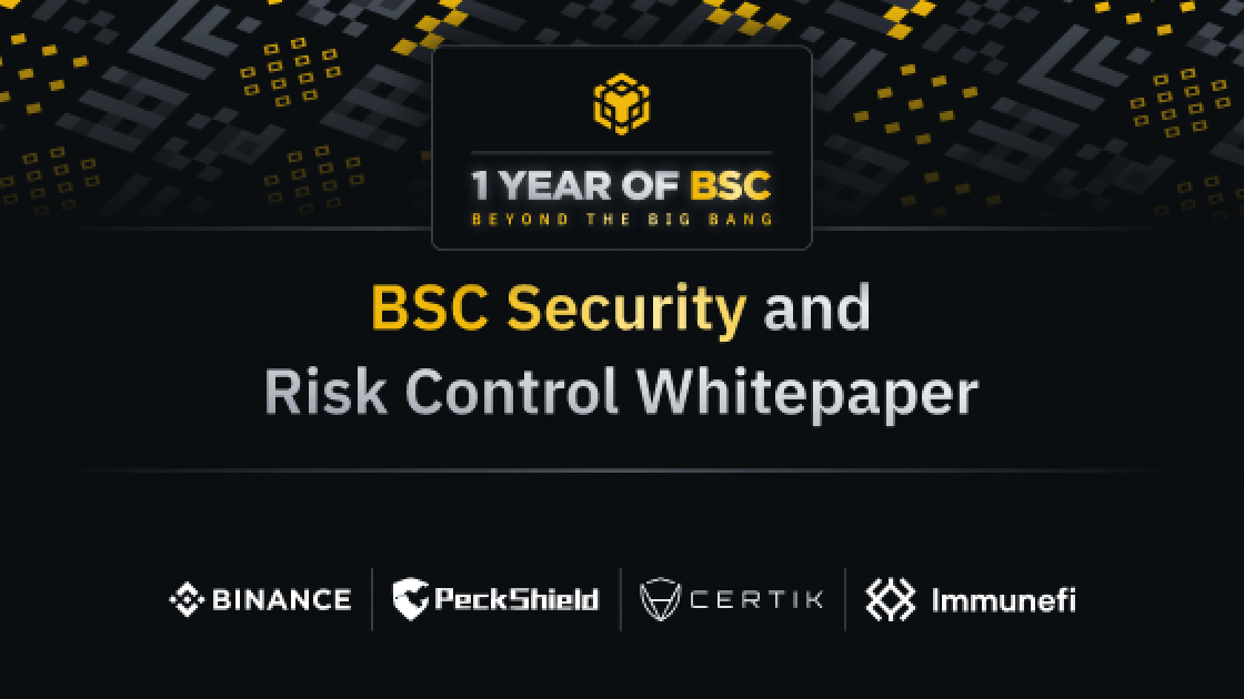 BSC Security and Risk Control WhitePaper