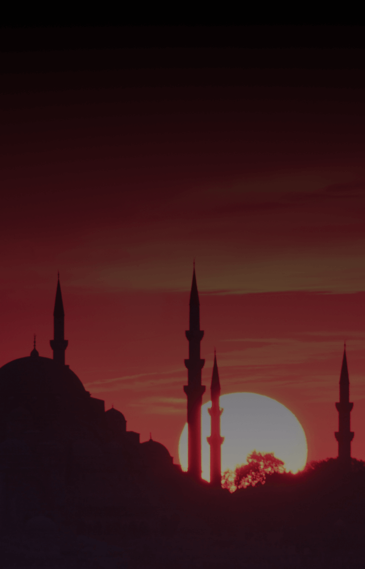 A silhouette of Istanbul, Turkey at sunset.