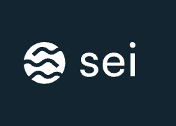 sei-networks