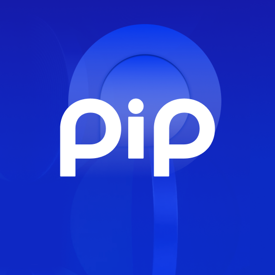 PIP: The Payment Layer of Web3