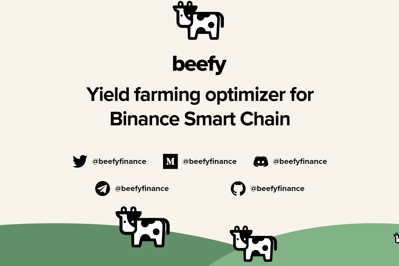 Beefy Finance cover