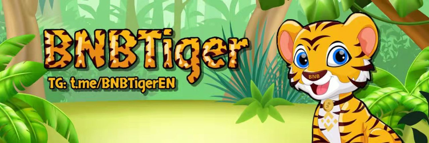 BNBTiger cover