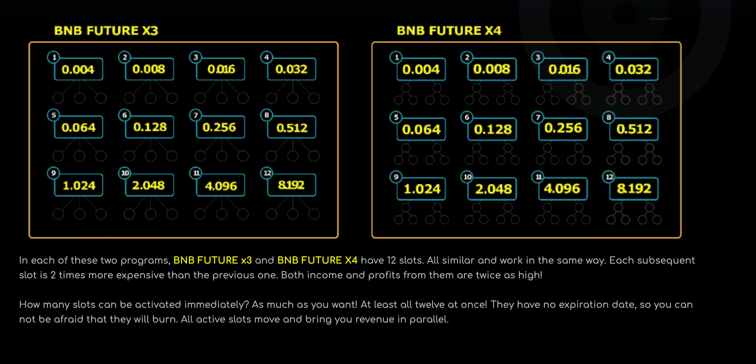 BNB FUTURE cover