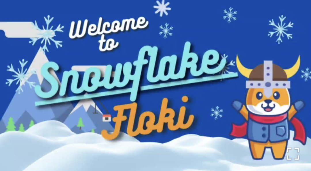 SnowFlake Floki cover