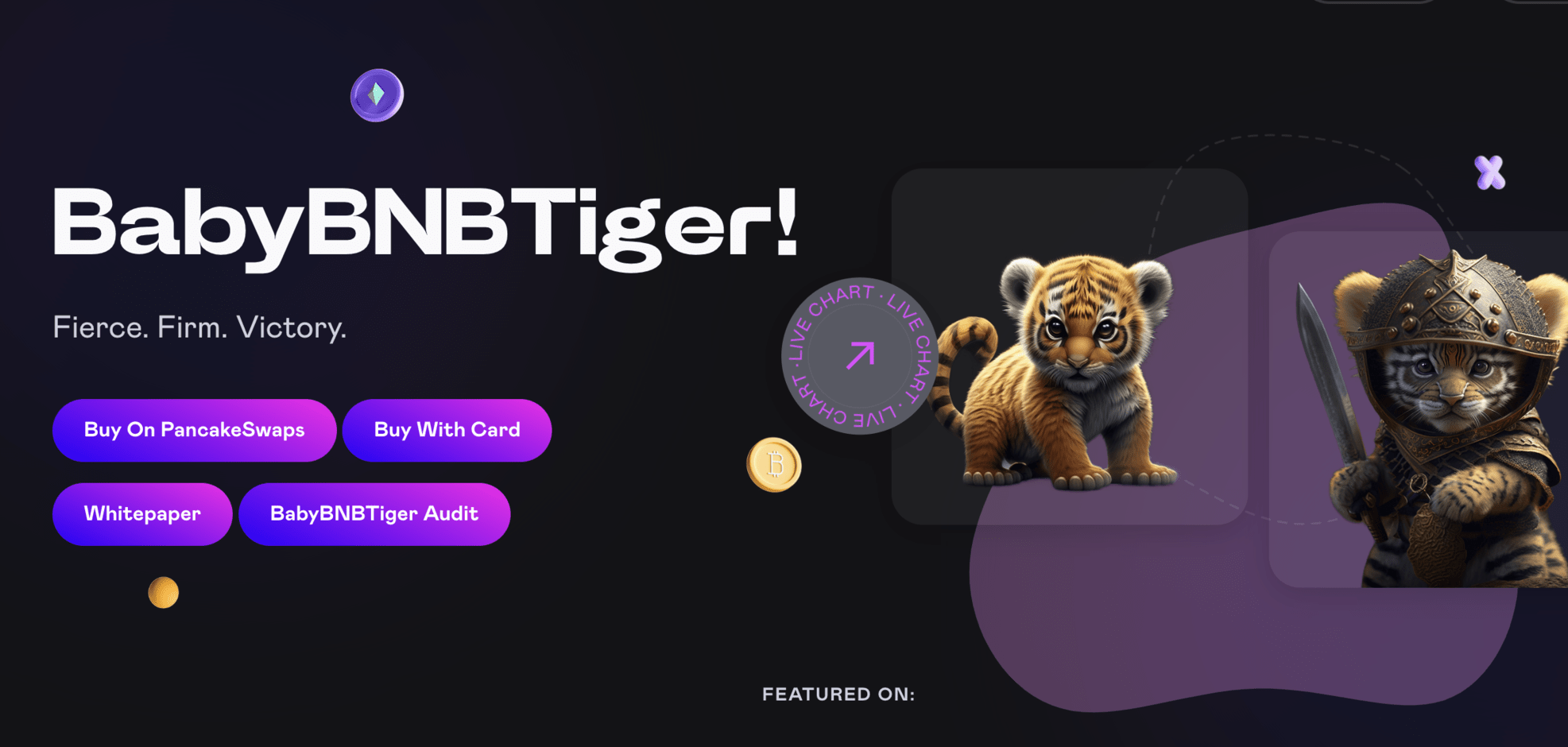 Baby BNB Tiger cover