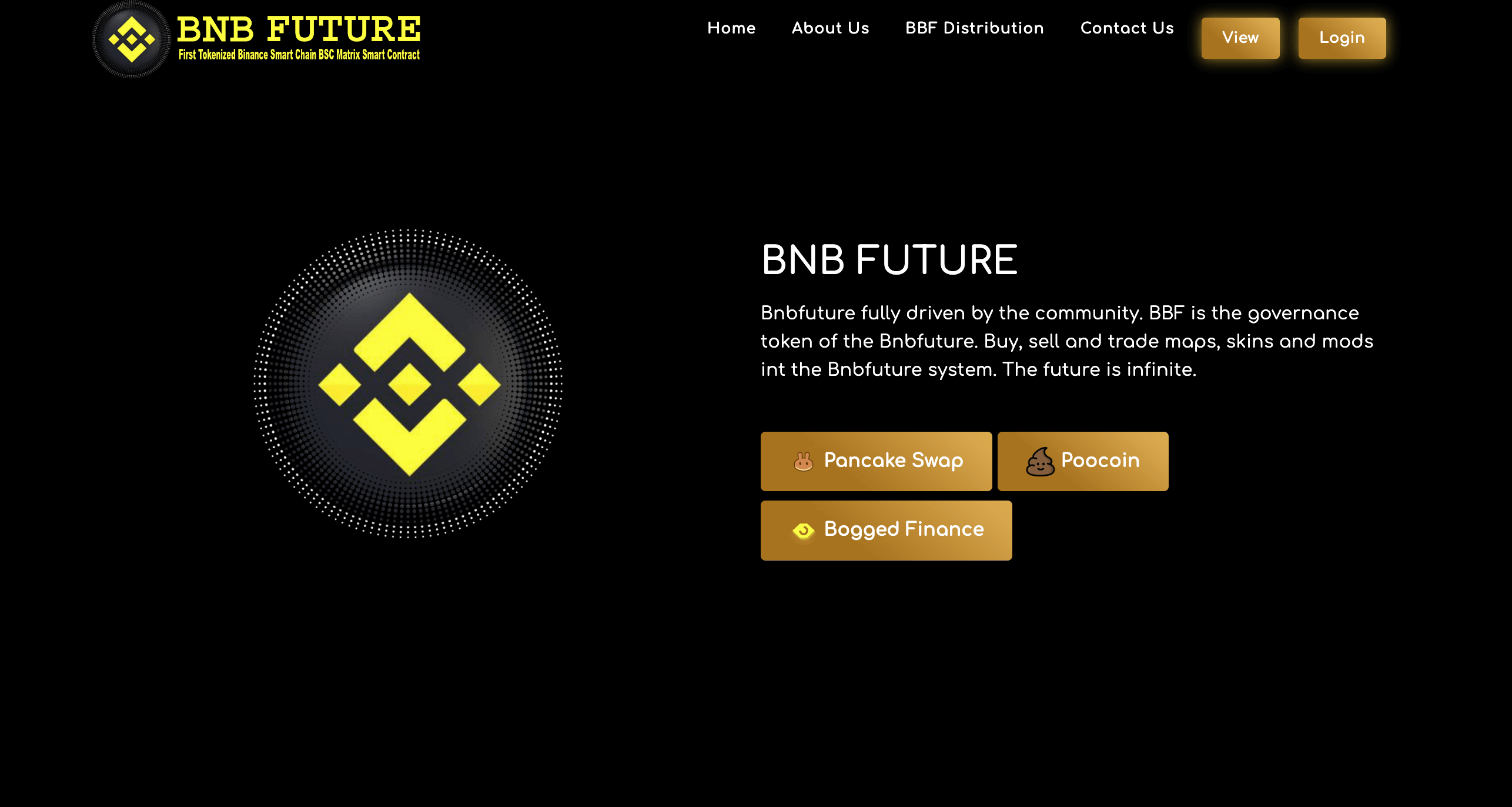 BNB FUTURE cover