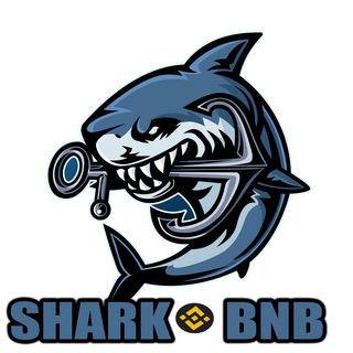 shark-bnb