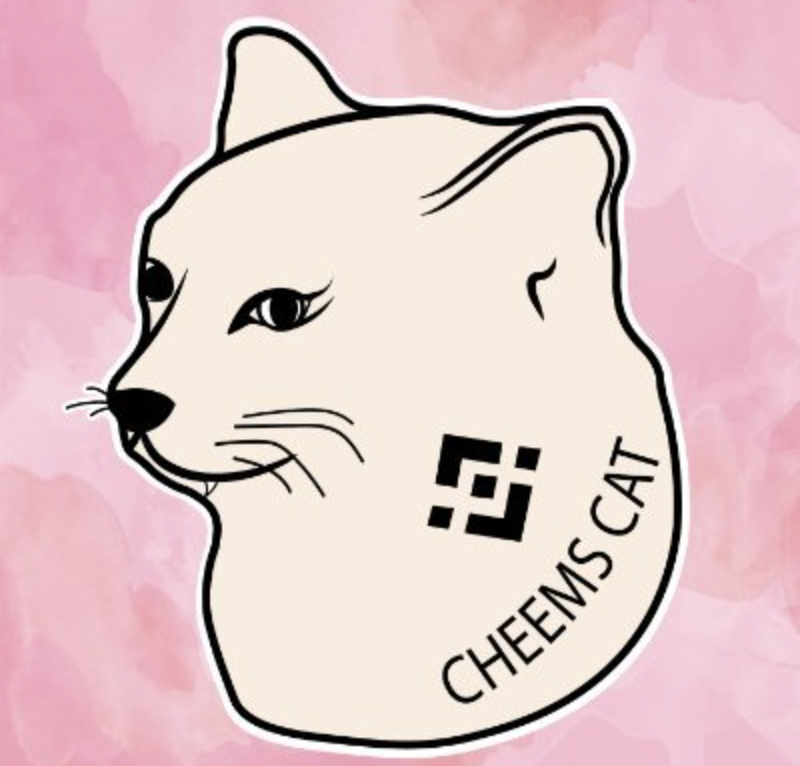 Cheems Cat cover