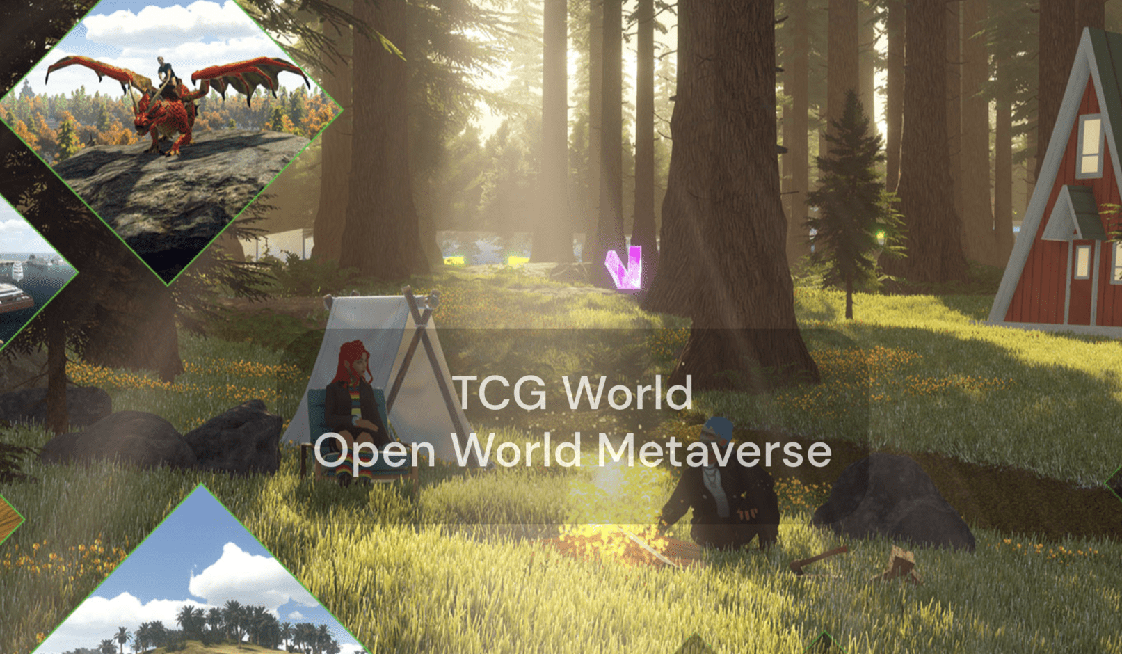 TCG World cover