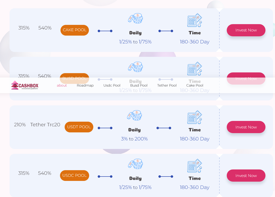 CashBox Investment Pool cover