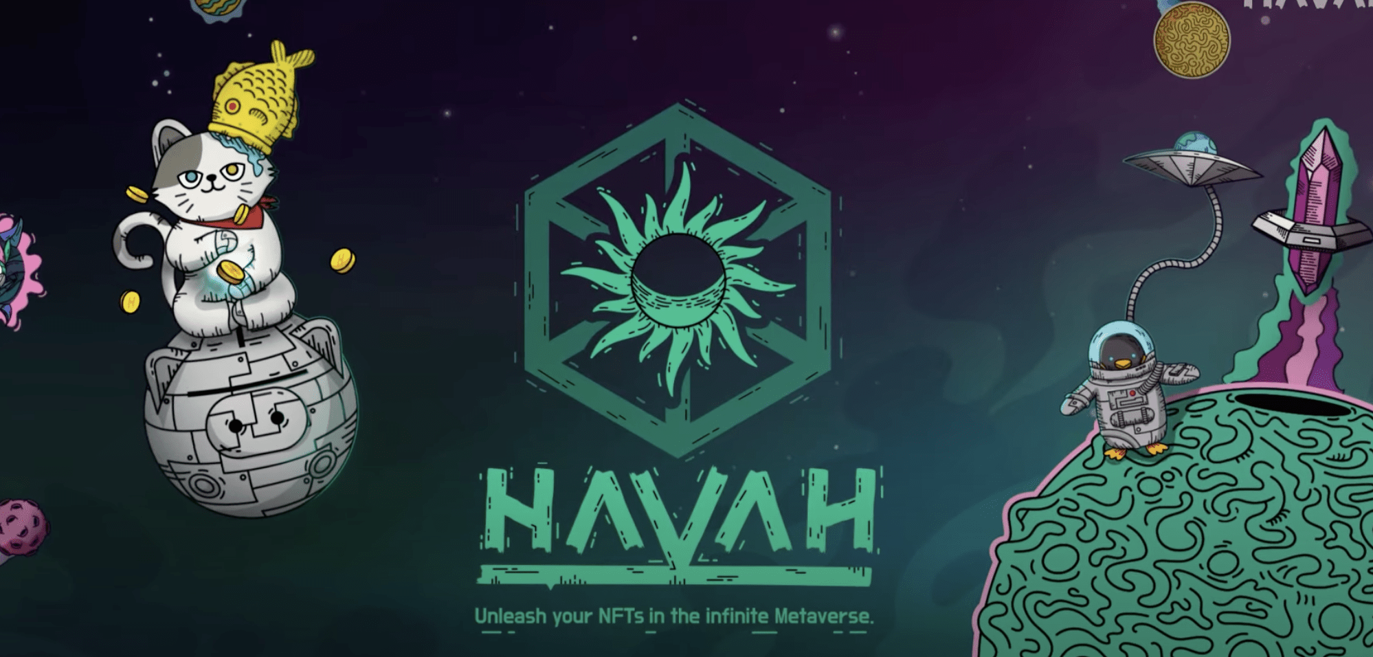 HAVAH cover