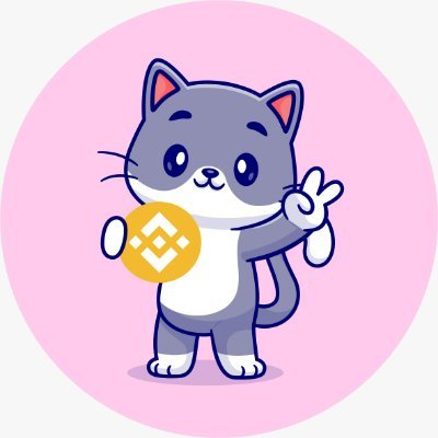 binance-cat