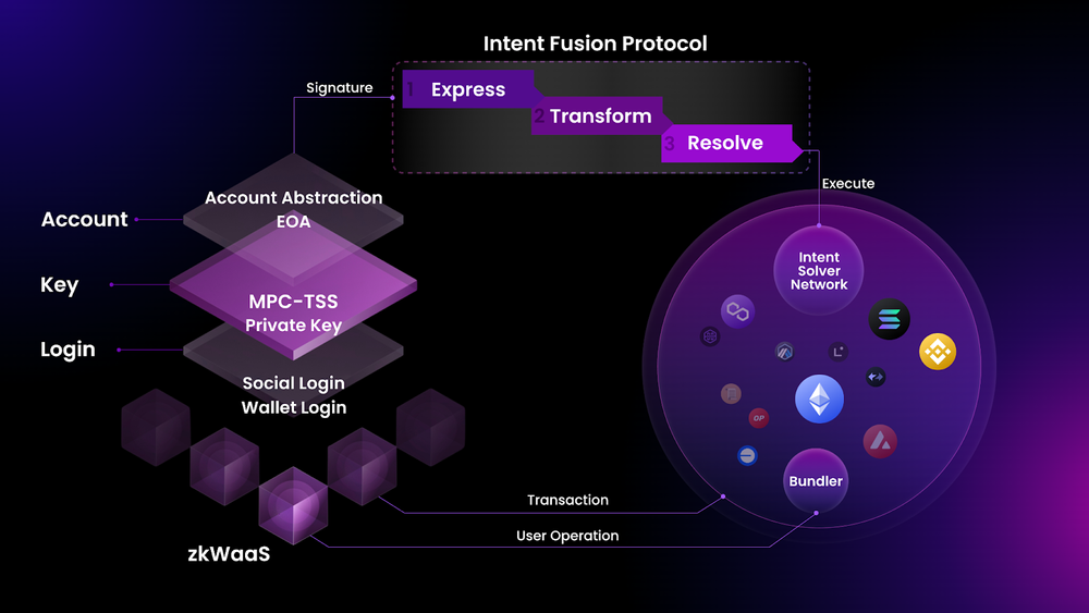 Particle Network cover