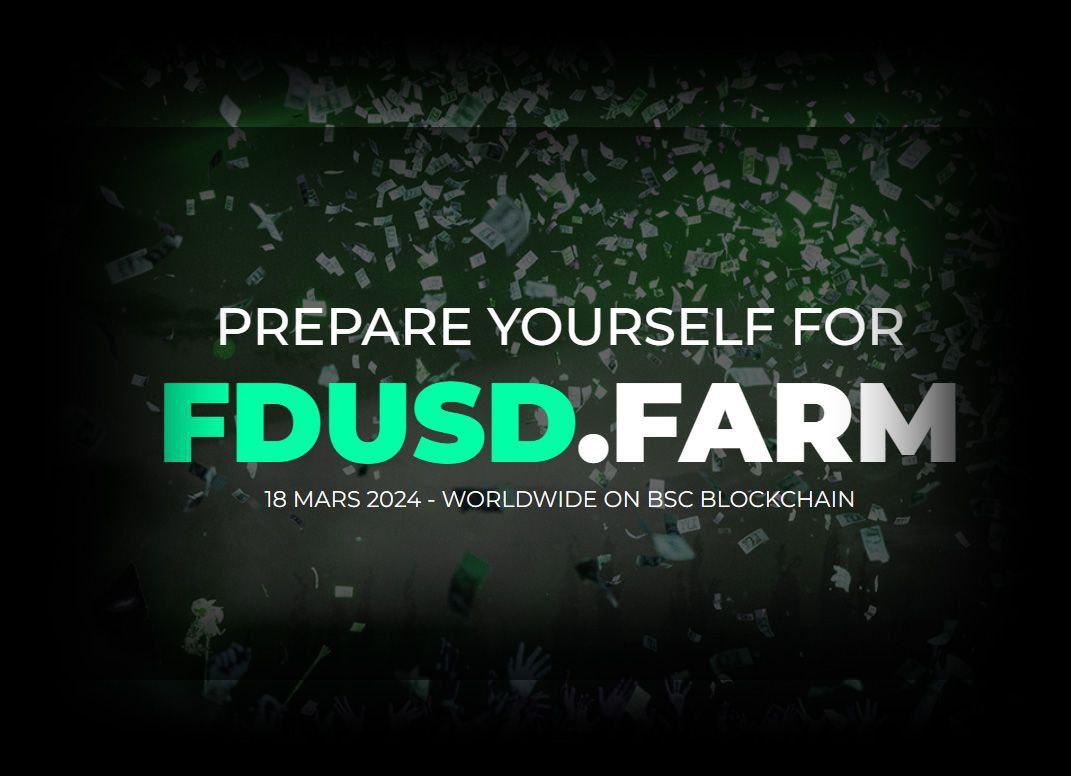 FDUSD FARM cover