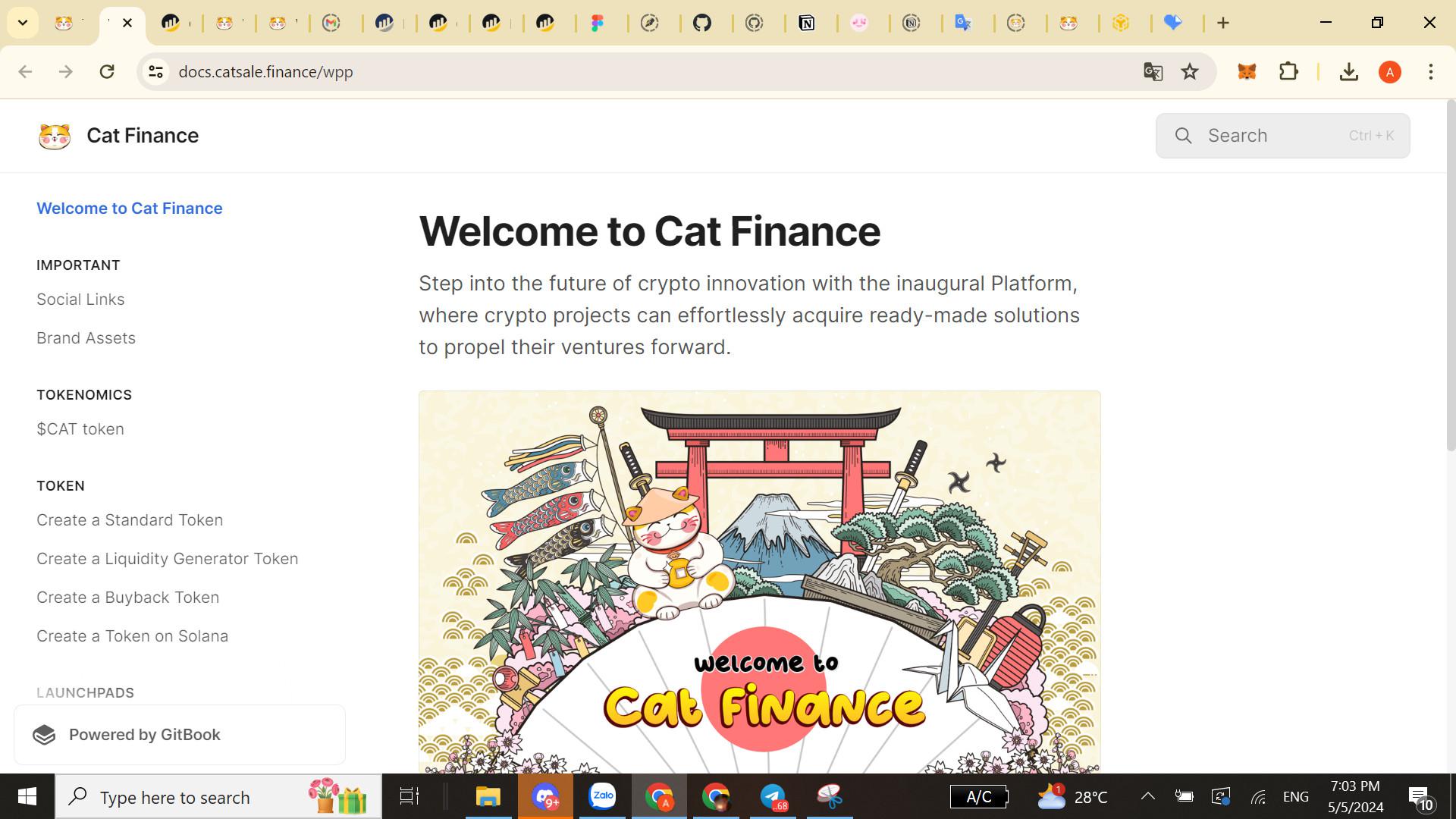 Cat Finance cover