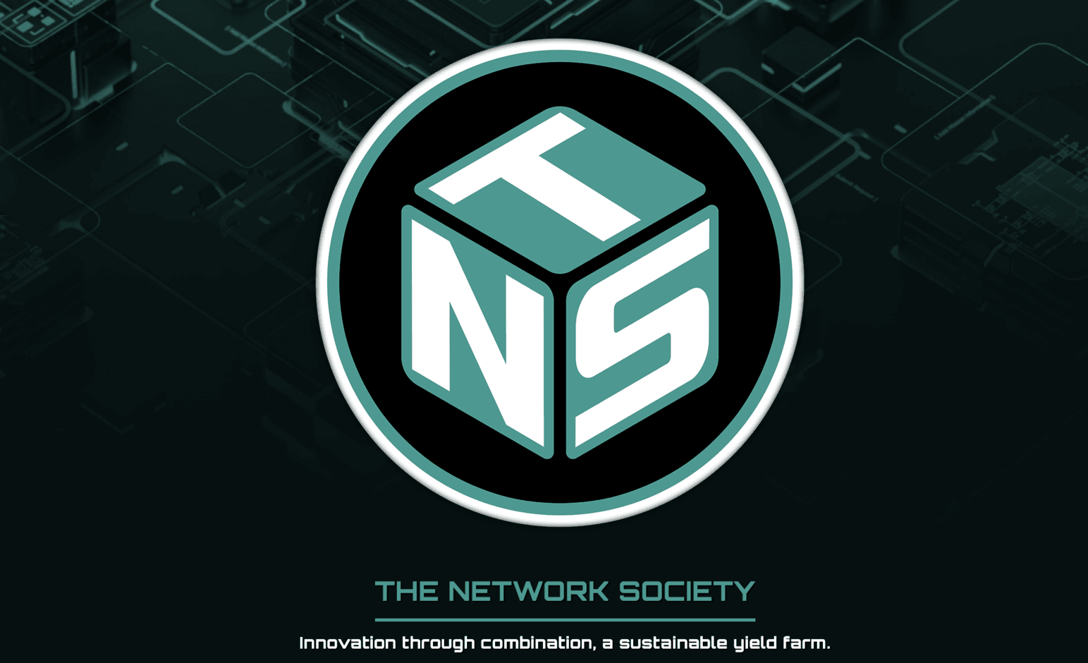 The Network Society cover