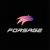 Forsage BUSD
