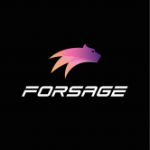 forsage-busd