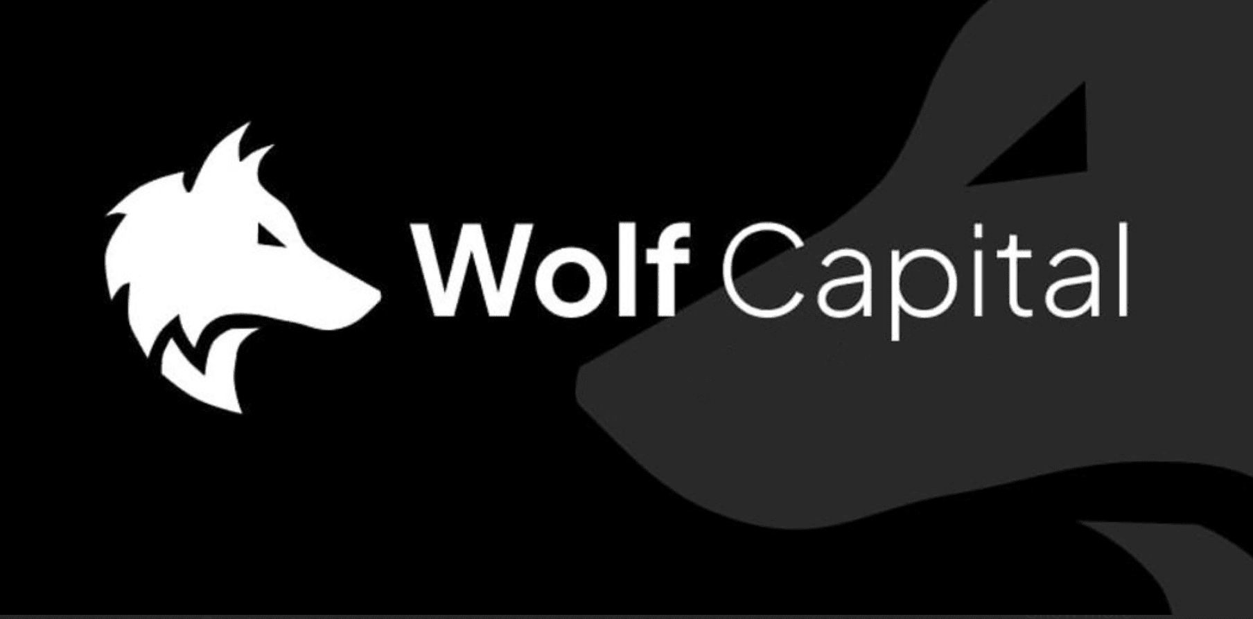 Wolf Capital cover