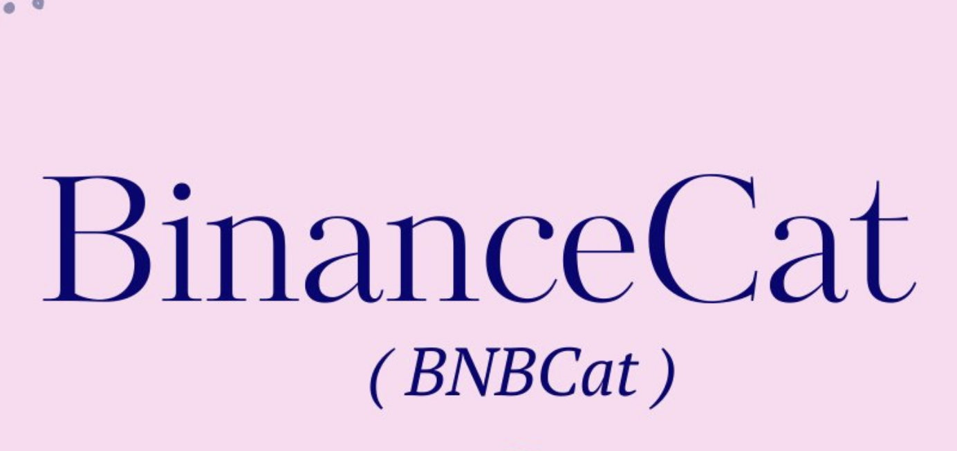 Binance Cat cover