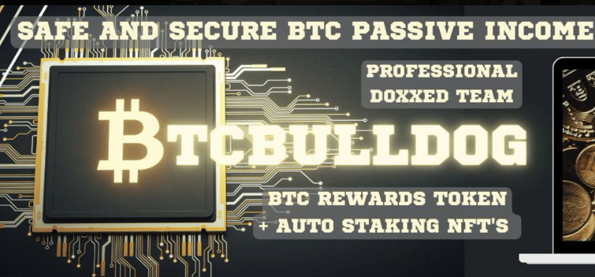 BTCBullDog cover